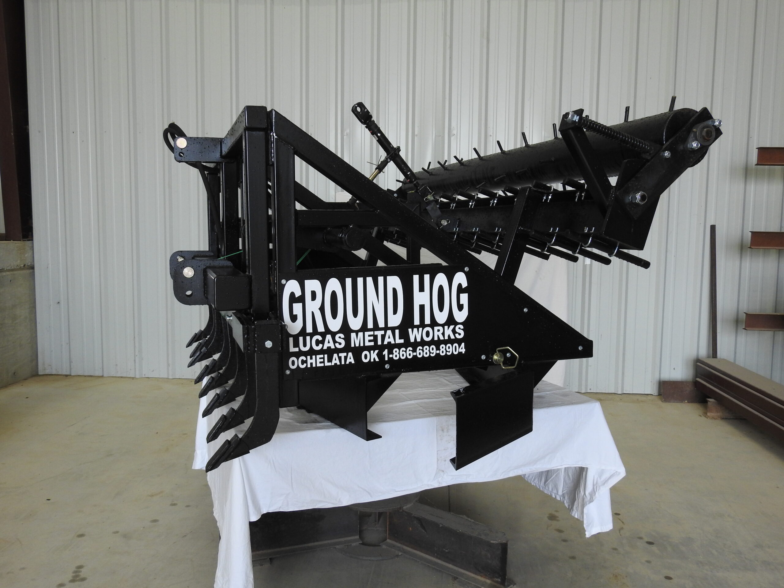 Ground Hog in four colors